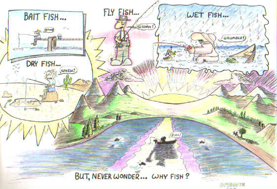neverwonderyfish.jpg