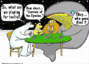 GLOBAL POKER