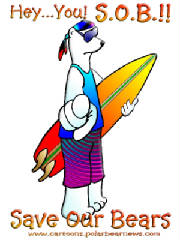 SURFER BEAR...CHILL!