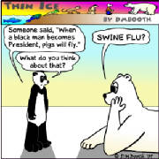 SWINE FLEW