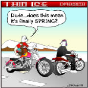 BIKER BEARS & SPRING