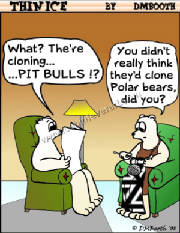 CLONING PIT BULLS