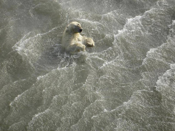 HEY, THROW ME A FRIGGIN' LIFEJACKET, WILL YA?