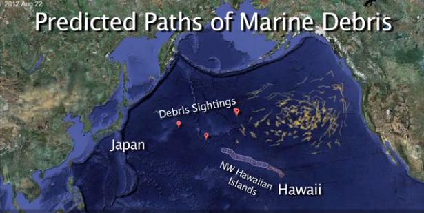 JAPANESE DEBRIS