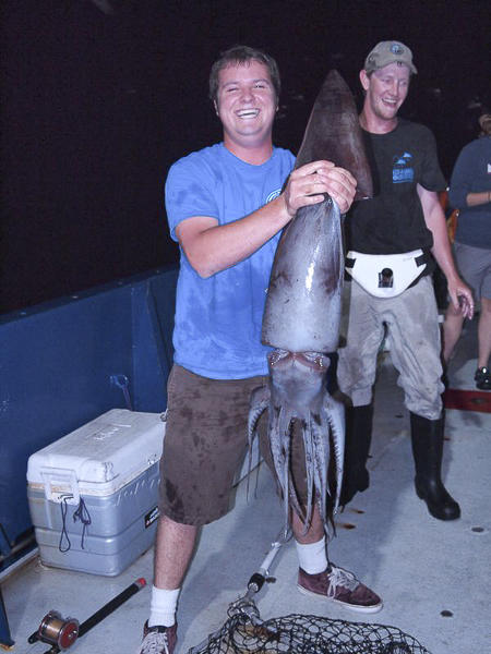 HUMBOLT SQUID CAPTURED