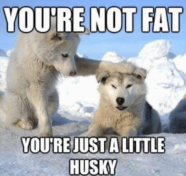 HUSKY T-SHIRT