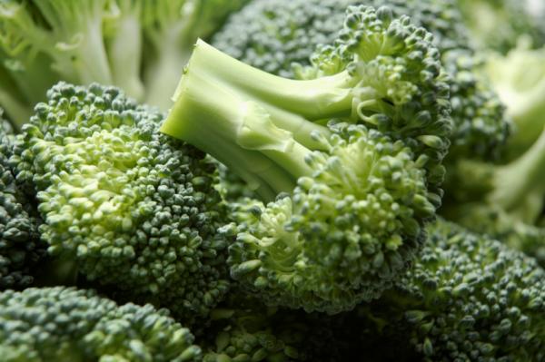 GREEN GOOEY YUKKY STUFF