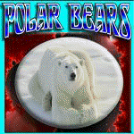 COOL POLAR BEAR STUFF