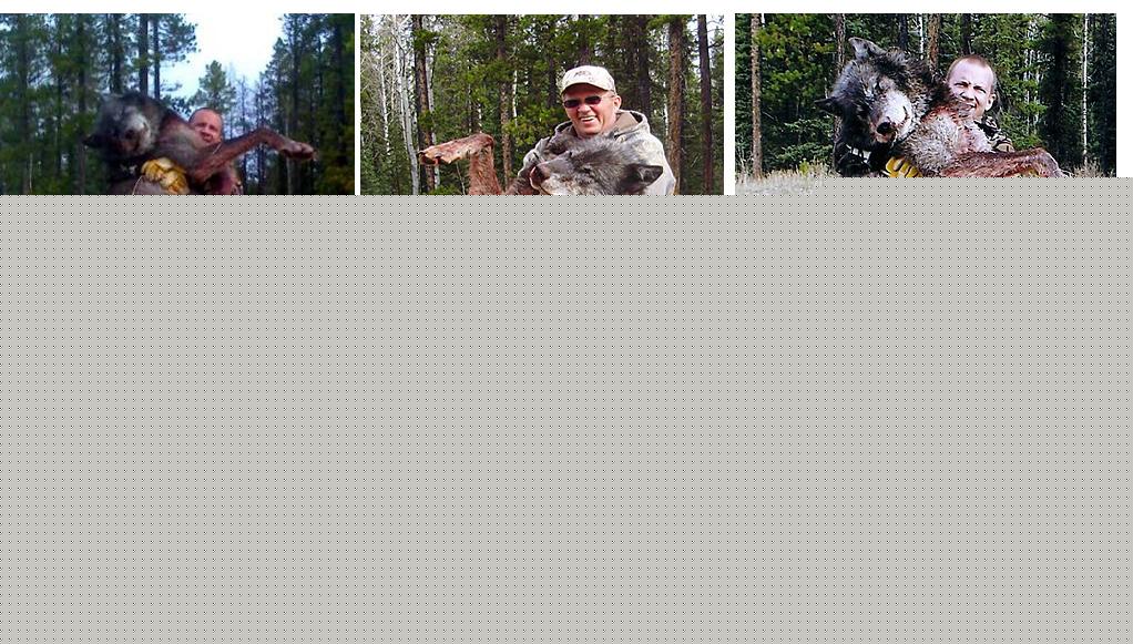 KILLING WOLVES FOR SPORT
