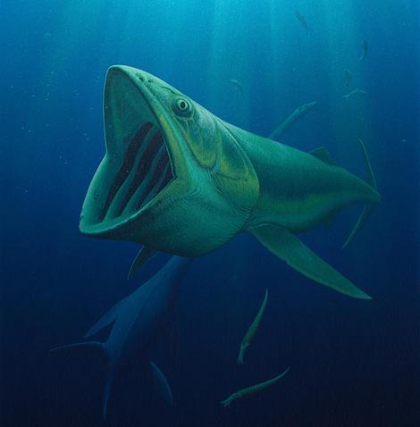 ANCIENT ALGAE EATER