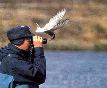 NEW_GLOBAL_WATERMARKED/birdwatcher.jpg