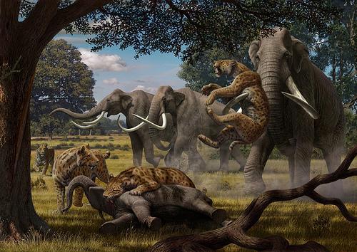 EXTINCTION RULES