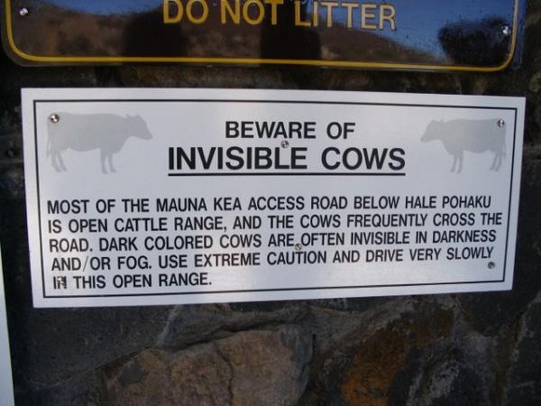 NEW_GLOBAL_WATERMARKED/missingcow.jpg