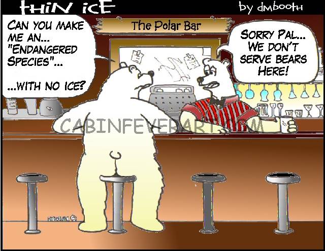 BACK AT THE POLAR BAR