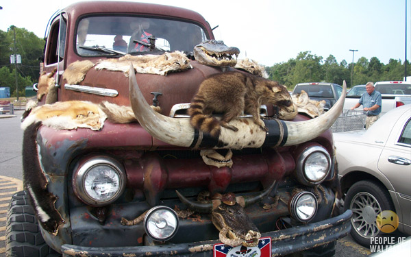 CLASSY TRUCK EH?