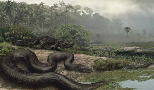 TITANOBOA