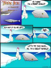 HOW MANY RIGHT WHALES ARE LEFT